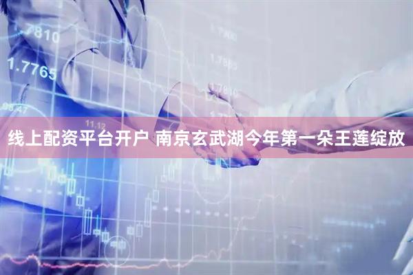 线上配资平台开户 南京玄武湖今年第一朵王莲绽放
